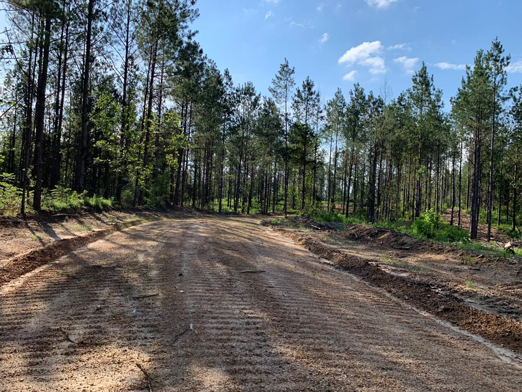. Givens- Mullins Road Jayess, MS 39641 - Photo 16 of 24 Photo 16