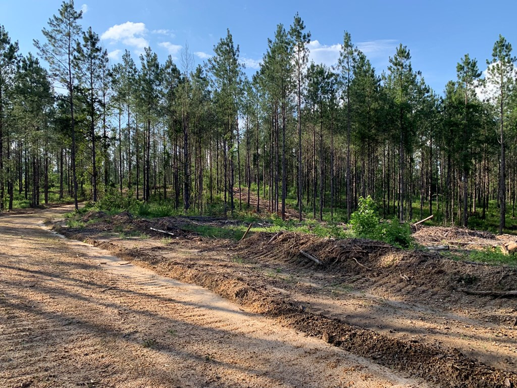 . Givens- Mullins Road Jayess, MS 39641 - Photo 17 of 24 Photo 17