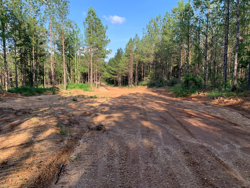 . Givens- Mullins Road Jayess, MS 39641 - Photo 20 of 24 Photo 20