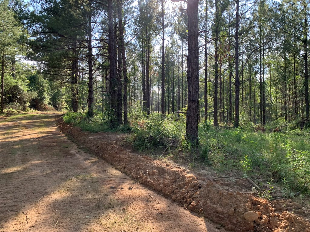 . Givens- Mullins Road Jayess, MS 39641 - Photo 2 of 24 Photo 2