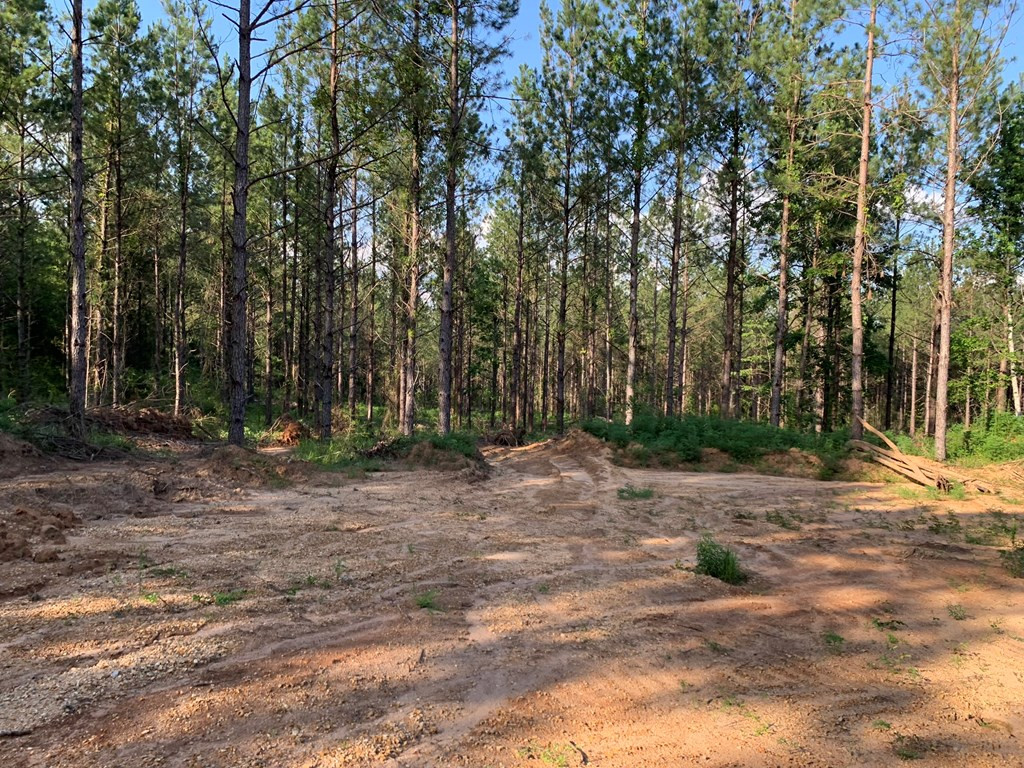 . Givens- Mullins Road Jayess, MS 39641 - Photo 21 of 24 Photo 21