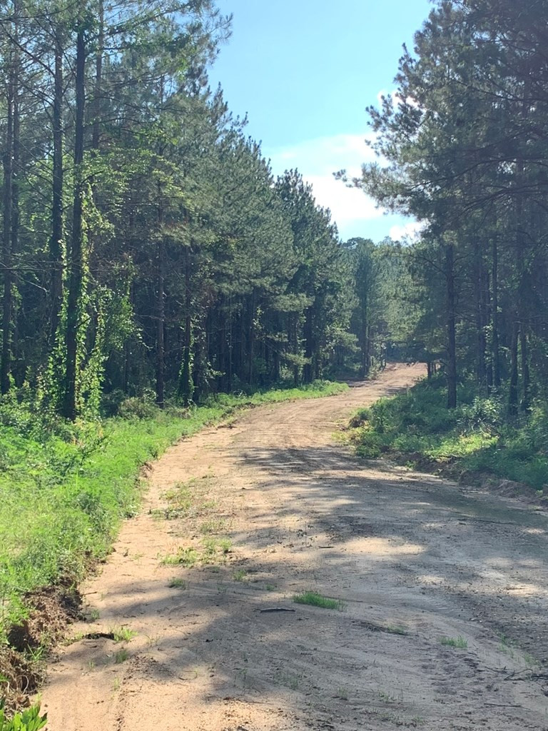 . Givens- Mullins Road Jayess, MS 39641 - Photo 3 of 24 Photo 3