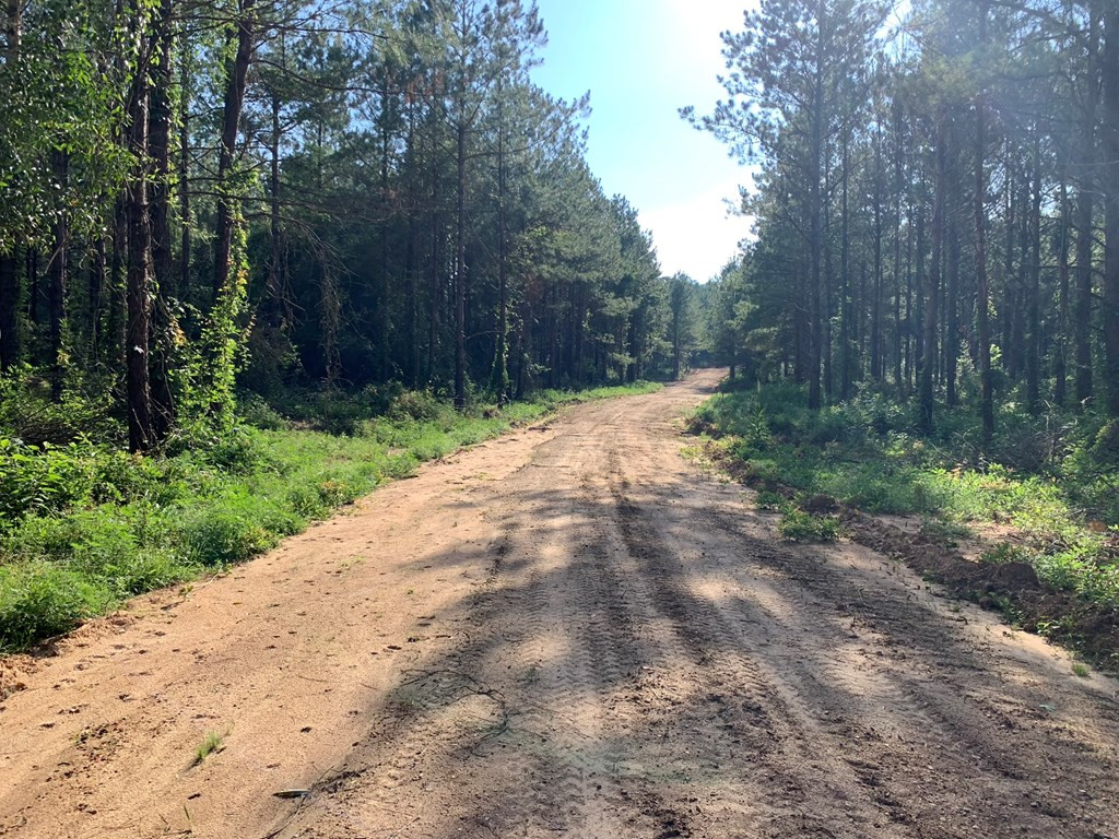 . Givens- Mullins Road Jayess, MS 39641 - Photo 4 of 24 Photo 4