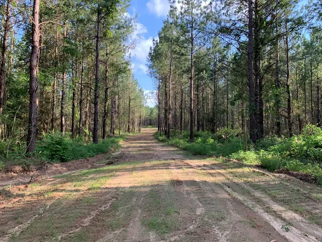 $527,300 | . Givens- Mullins Road, Jayess, MS 39641
