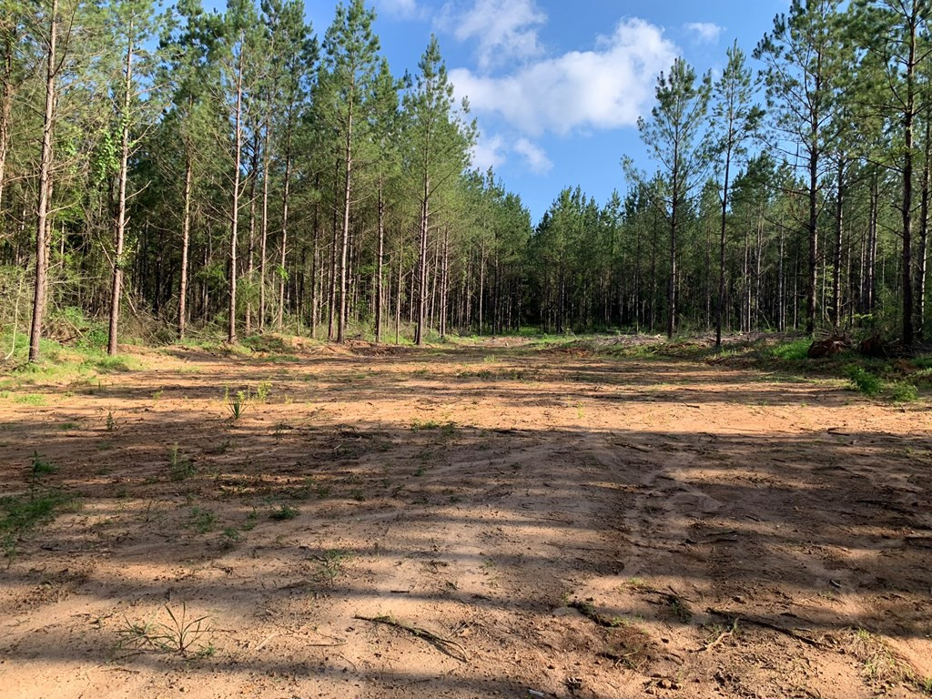 . Givens- Mullins Road Jayess, MS 39641 - Photo 7 of 24 Photo 7