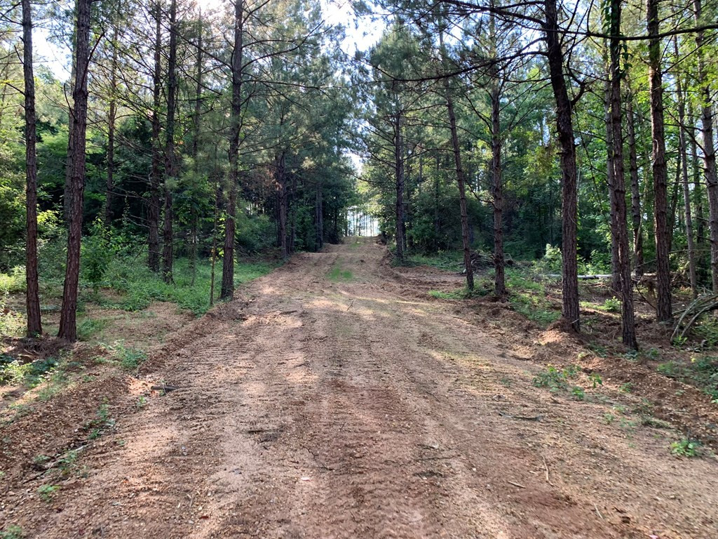 . Givens- Mullins Road Jayess, MS 39641 - Photo 9 of 24 Photo 9