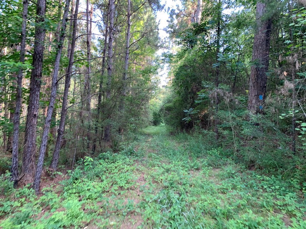 . Givens- Mullins Road Jayess, MS 39641 - Photo 10 of 24 Photo 10