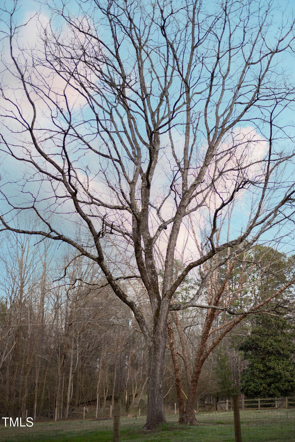 8717 Allison Road Cedar Grove, NC 27231 - Photo 73 of 86 DSC_2724-Edit
