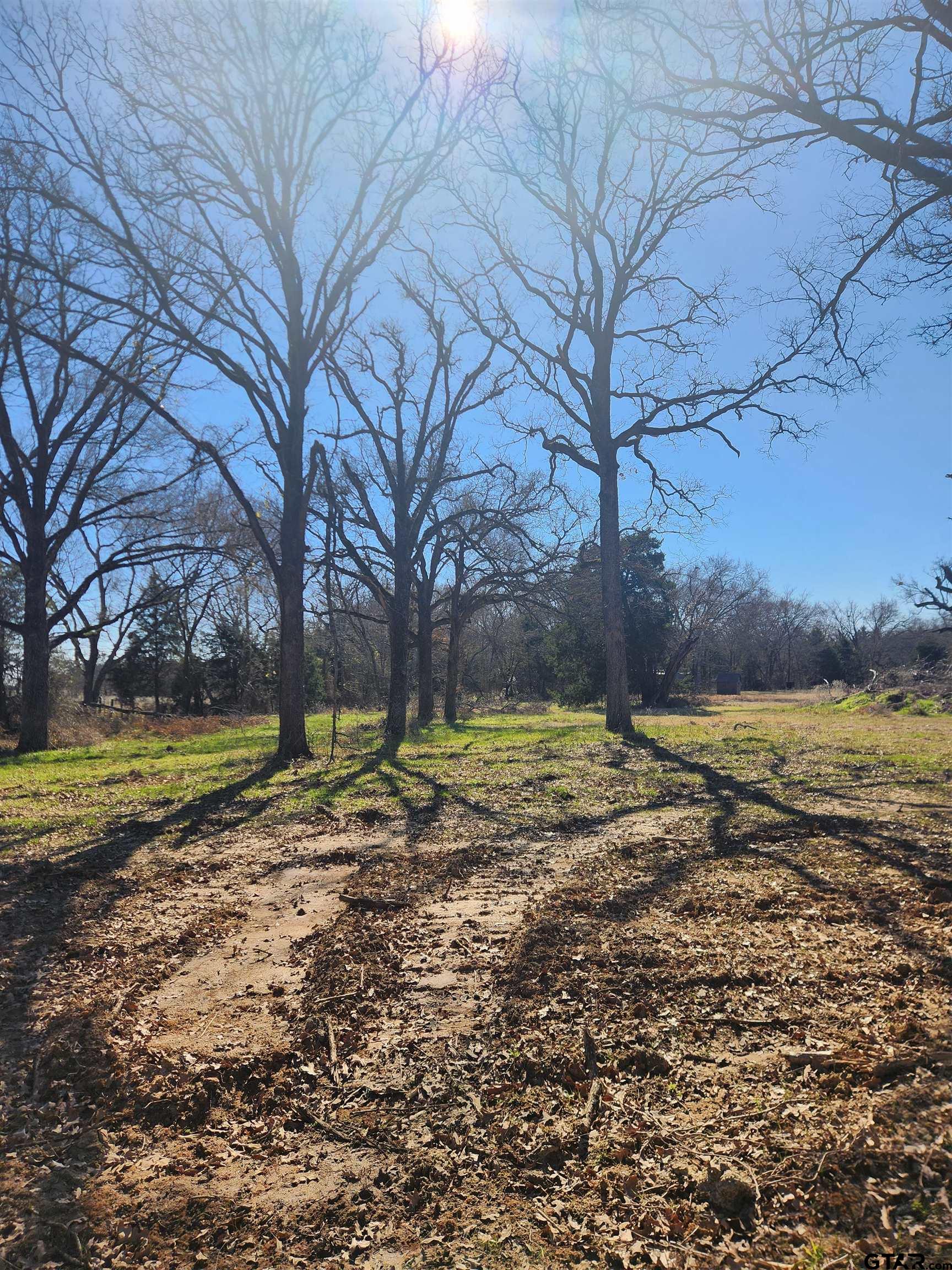 1405 Athens Tx 75751 Athens, TX 75751 - Photo 12 of 12 a view of yard with swimming pool and trees