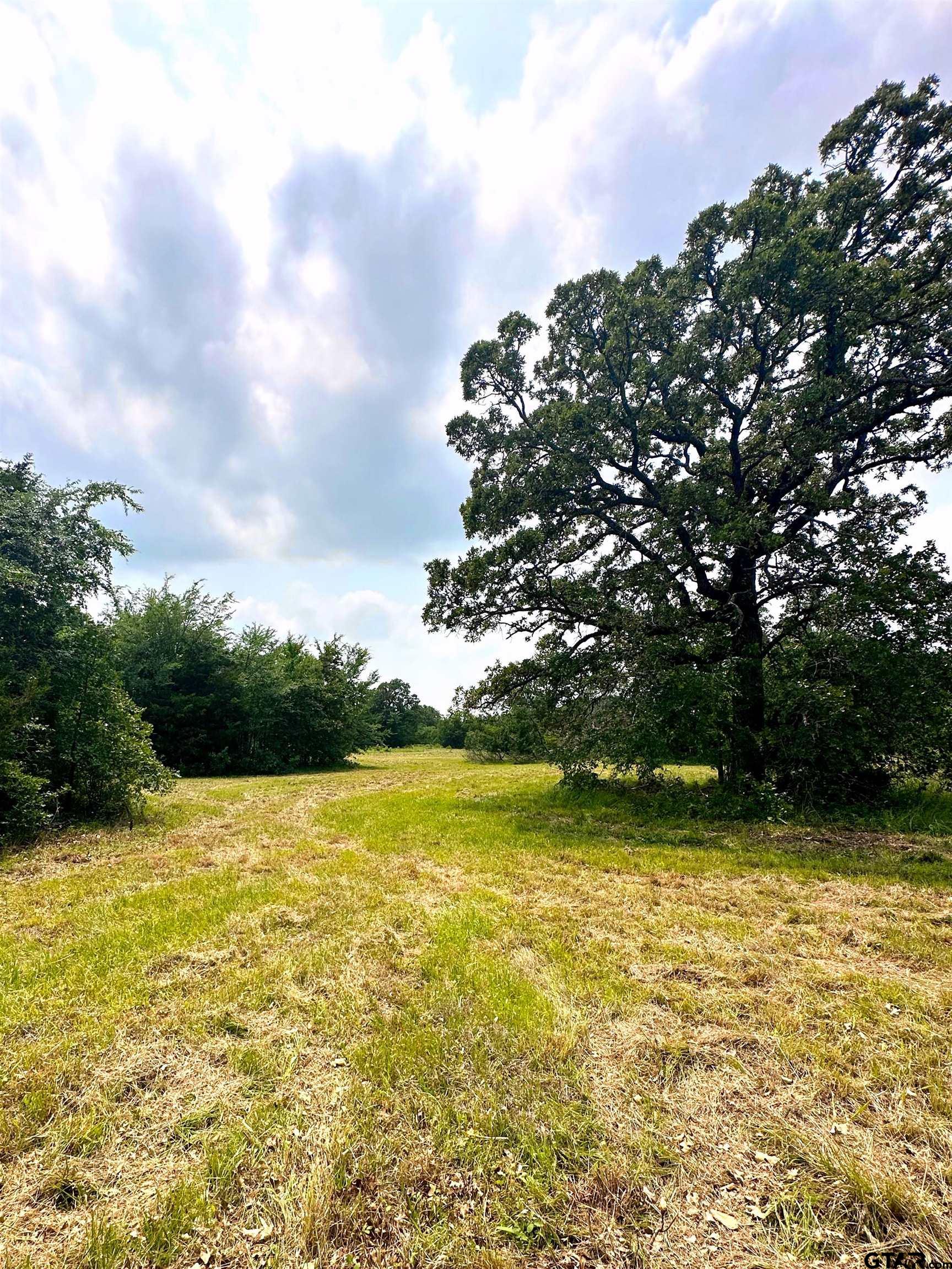 1405 Athens Tx 75751 Athens, TX 75751 - Photo 5 of 12 a view of outdoor space and yard