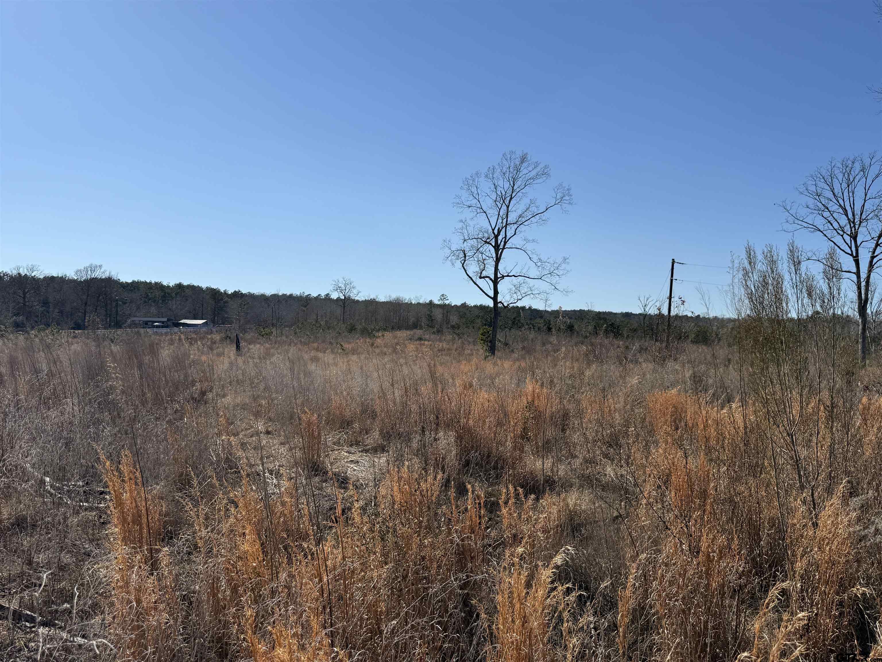 1110 - Tract 4 Rusk Tx 75785 Rusk, TX 75785 - Photo 11 of 16