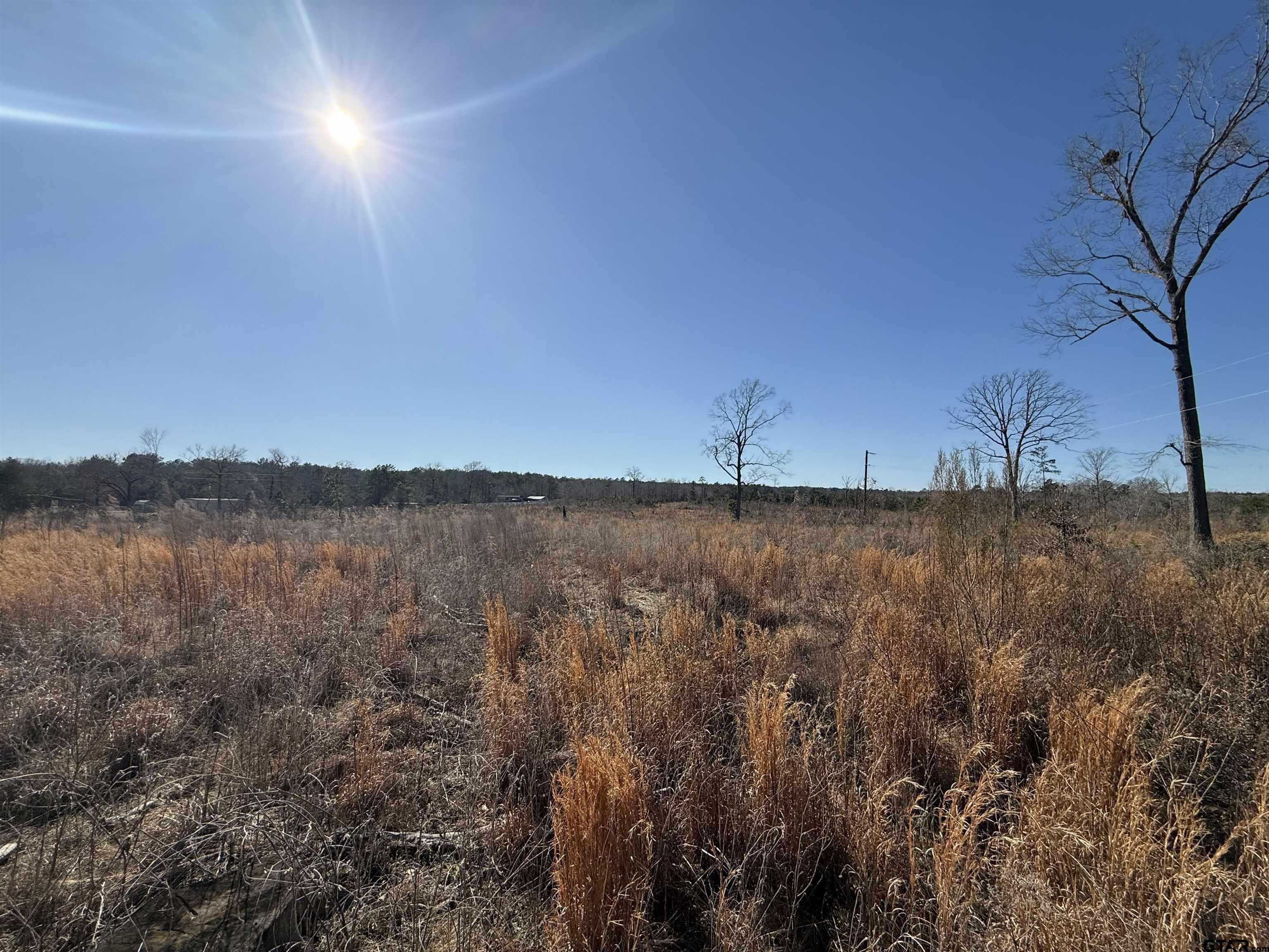 1110 - Tract 4 Rusk Tx 75785 Rusk, TX 75785 - Photo 12 of 16