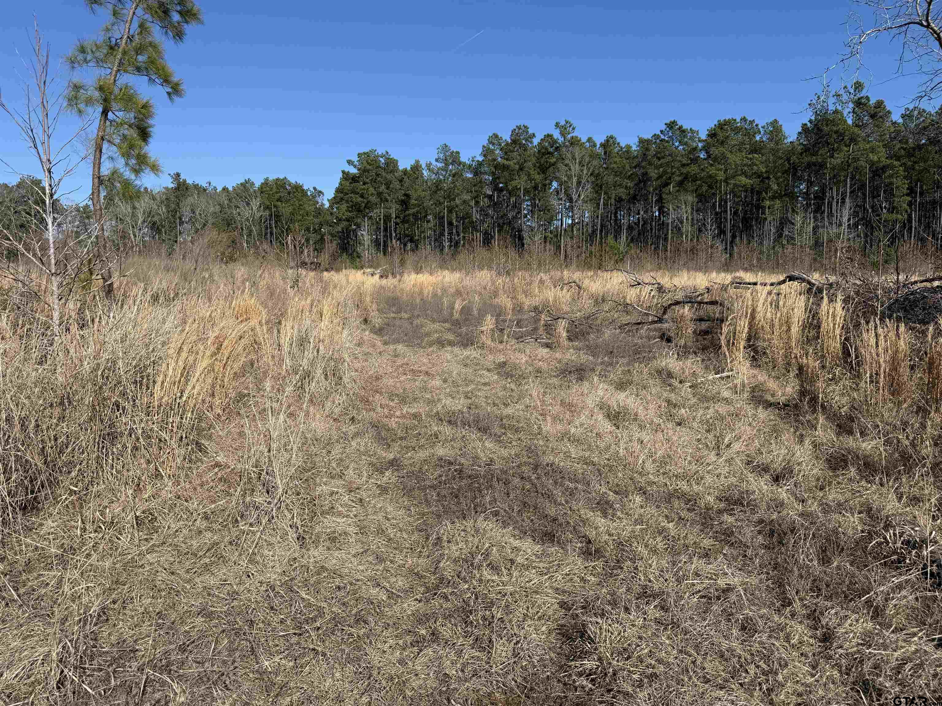 1110 - Tract 4 Rusk Tx 75785 Rusk, TX 75785 - Photo 13 of 16