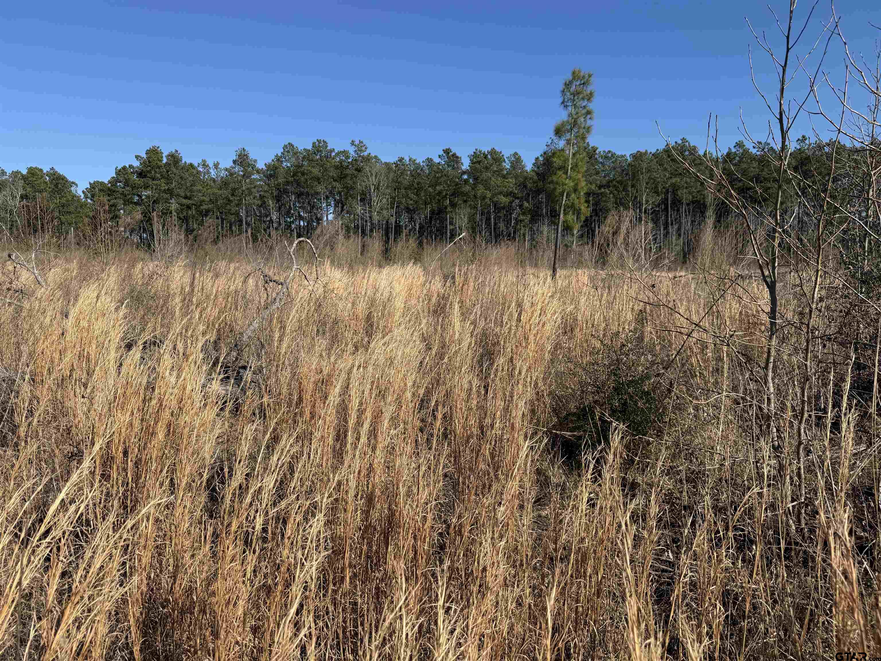 1110 - Tract 4 Rusk Tx 75785 Rusk, TX 75785 - Photo 2 of 16