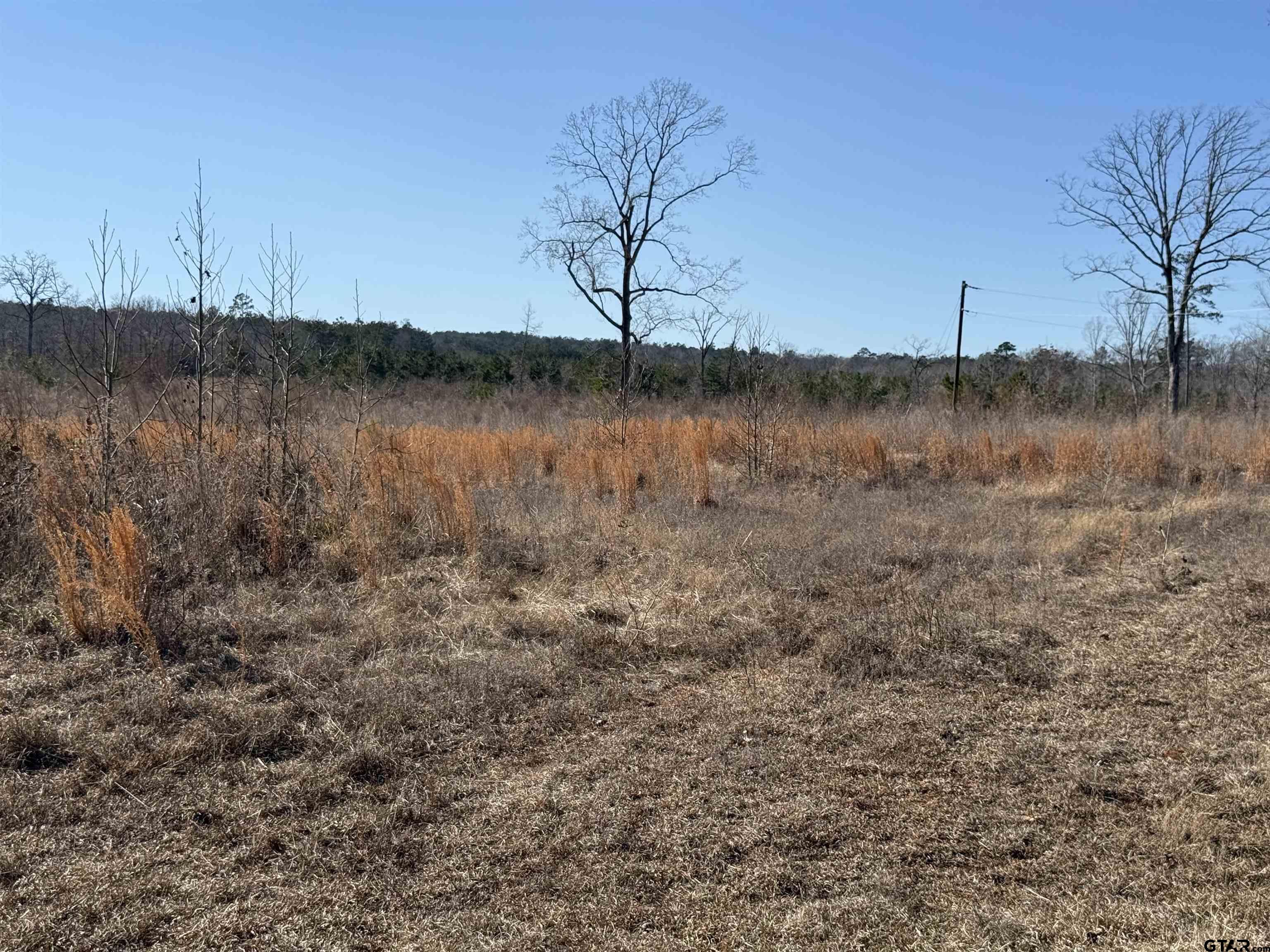 1110 - Tract 4 Rusk Tx 75785 Rusk, TX 75785 - Photo 5 of 16