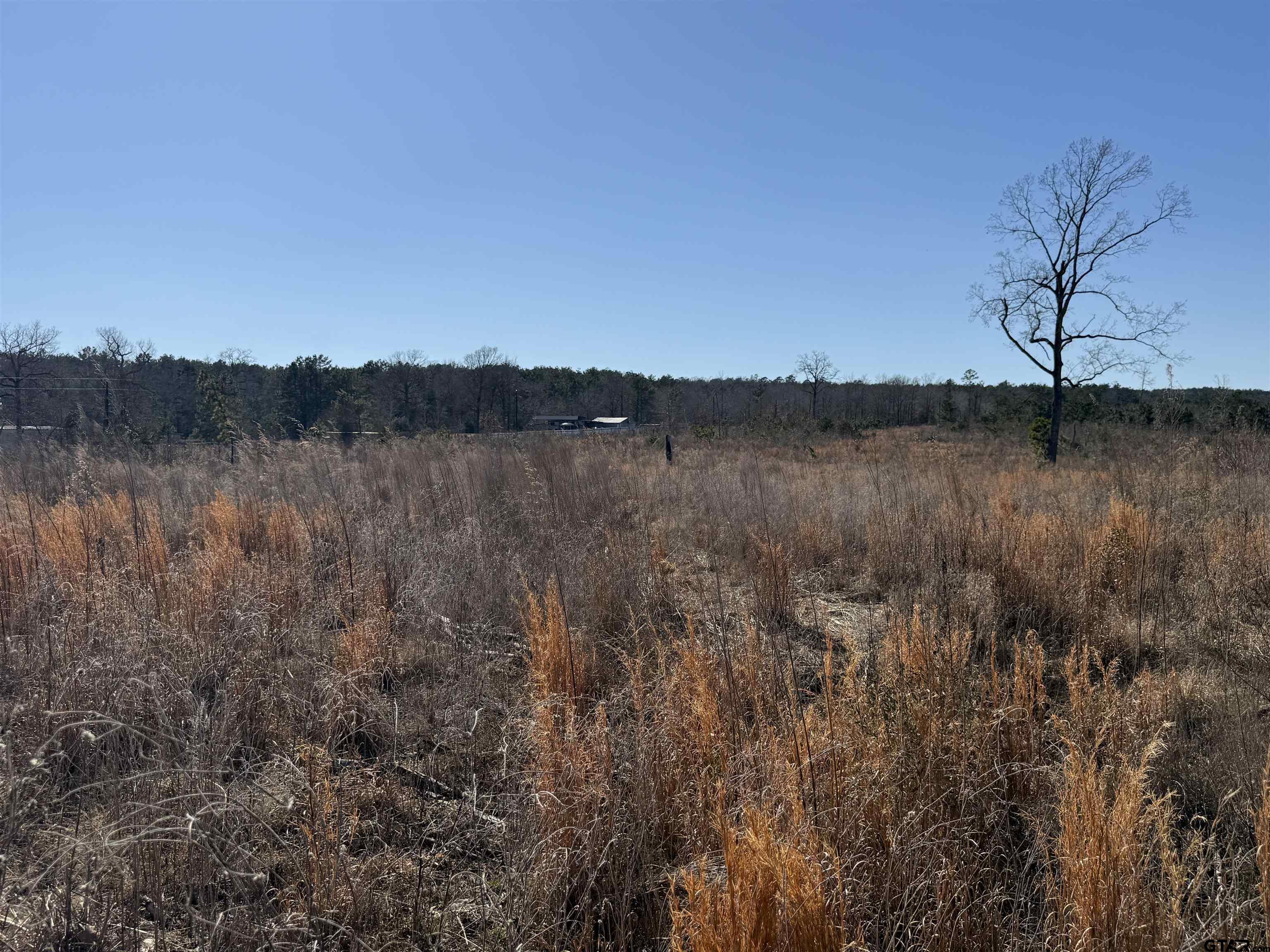 1110 - Tract 4 Rusk Tx 75785 Rusk, TX 75785 - Photo 7 of 16