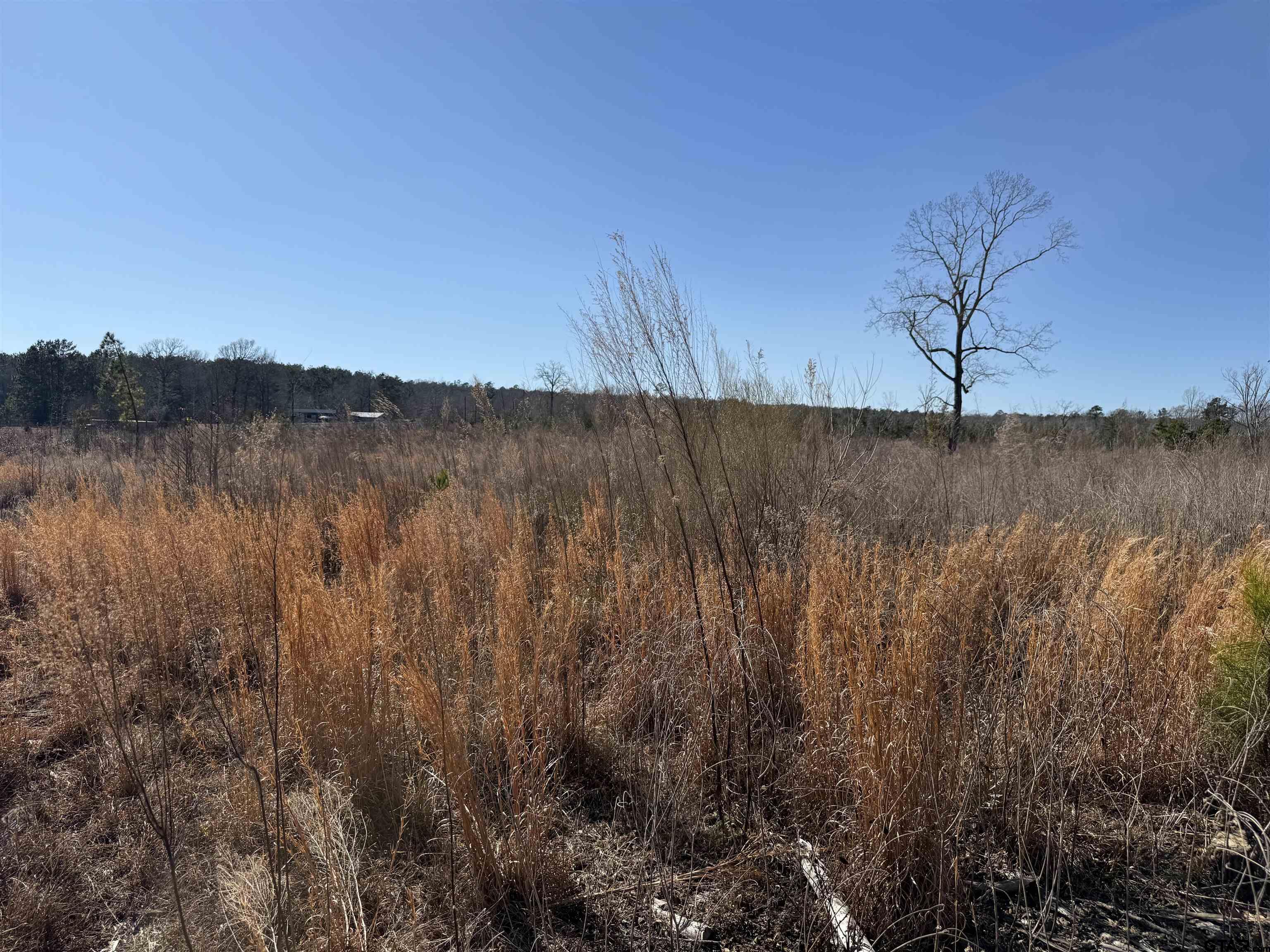 1110 - Tract 4 Rusk Tx 75785 Rusk, TX 75785 - Photo 8 of 16