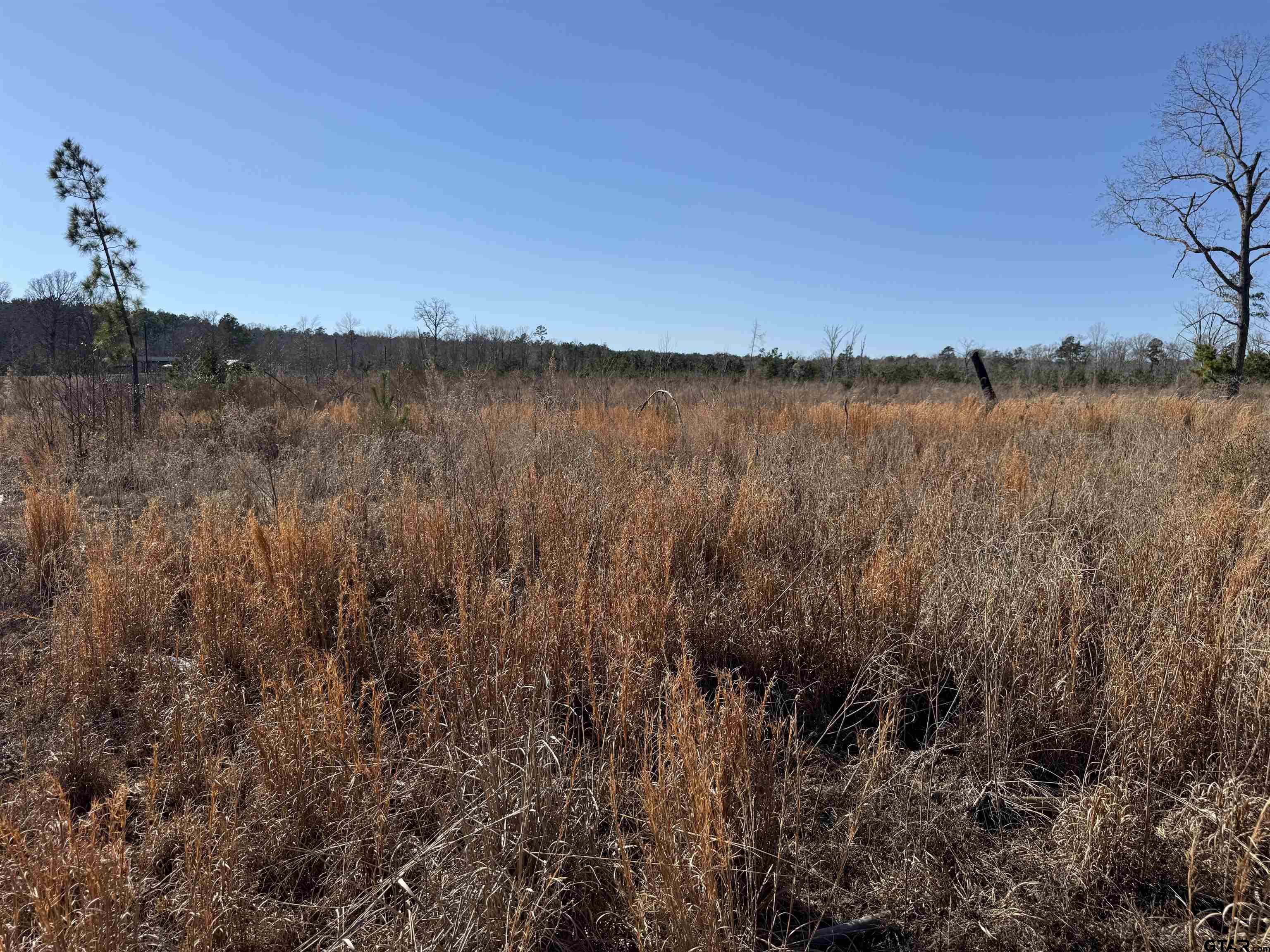 1110 - Tract 4 Rusk Tx 75785 Rusk, TX 75785 - Photo 9 of 16