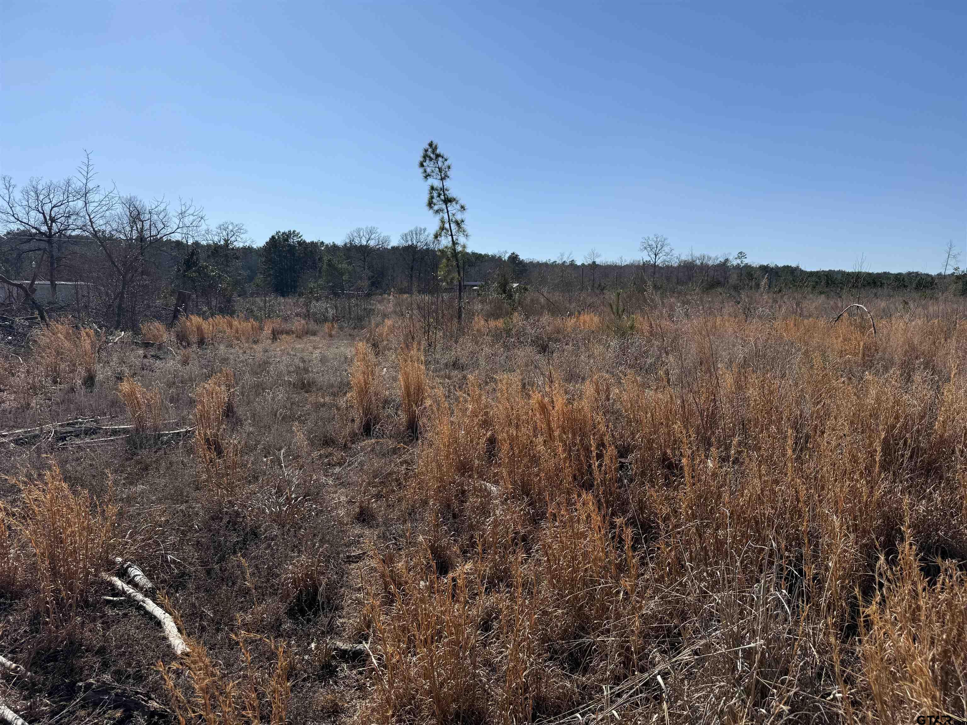 1110 - Tract 4 Rusk Tx 75785 Rusk, TX 75785 - Photo 10 of 16