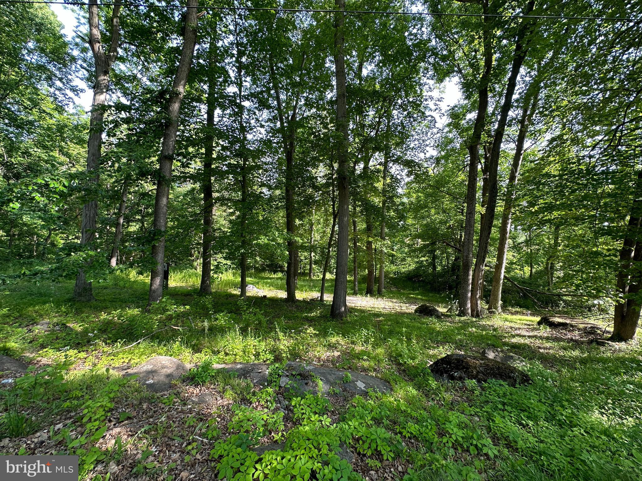 8099 Bull Road Lewisberry, PA 17339 - Photo 1 of 7 Gallery Image 1