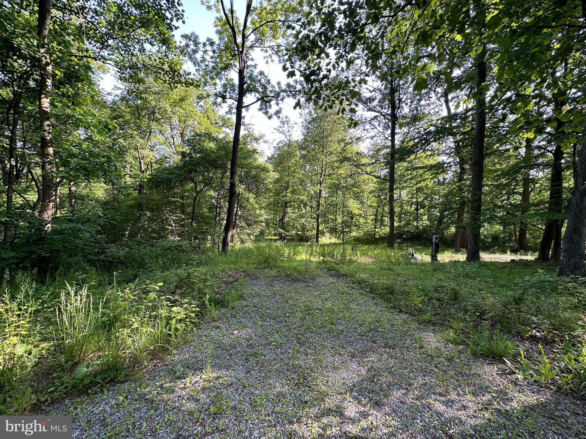 8099 Bull Road Lewisberry, PA 17339 - Photo 6 of 7 Gallery Image 6
