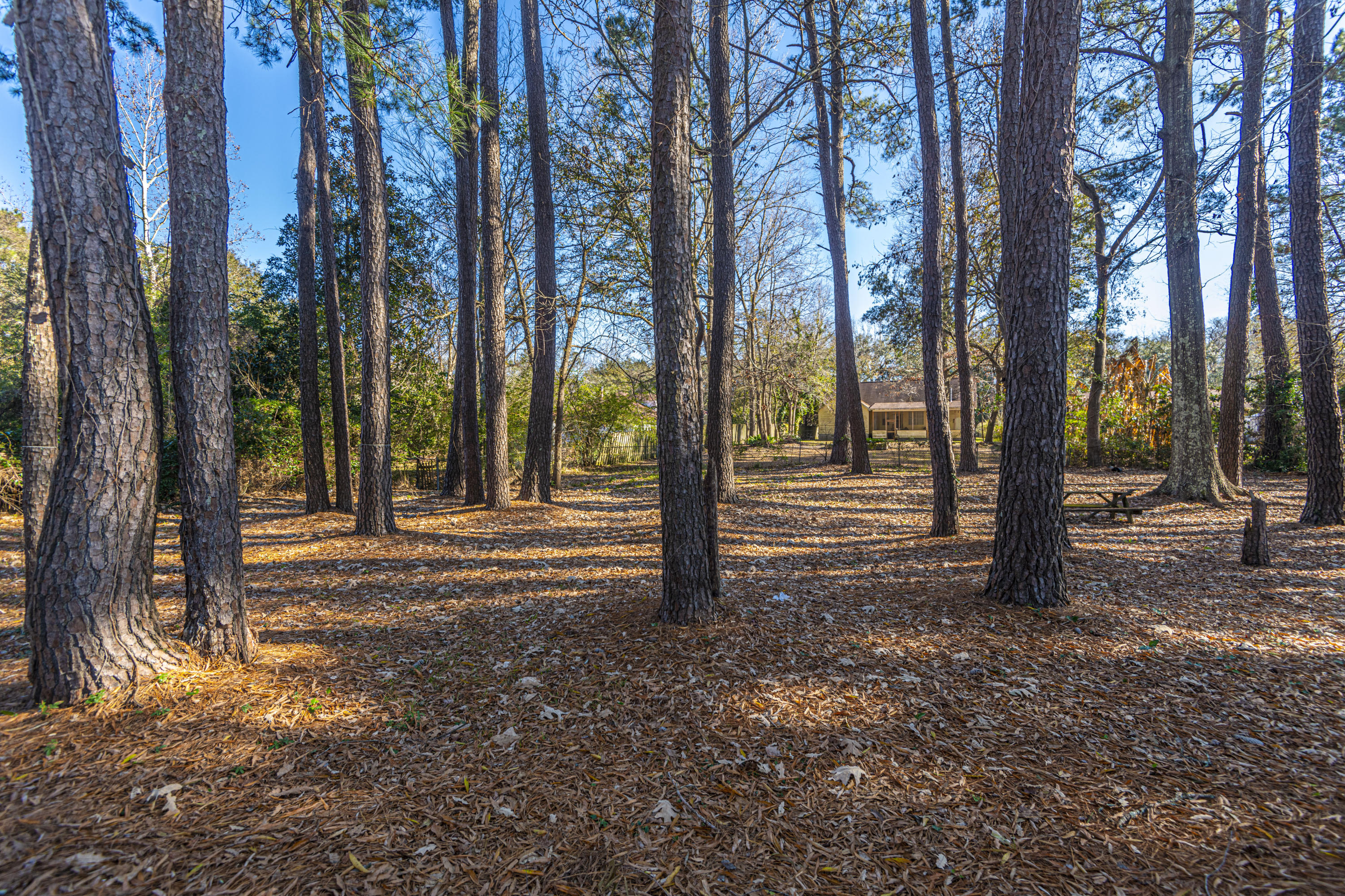 1771 Elm Road Charleston, SC 29414 - Photo 3 of 48 DSC_0713