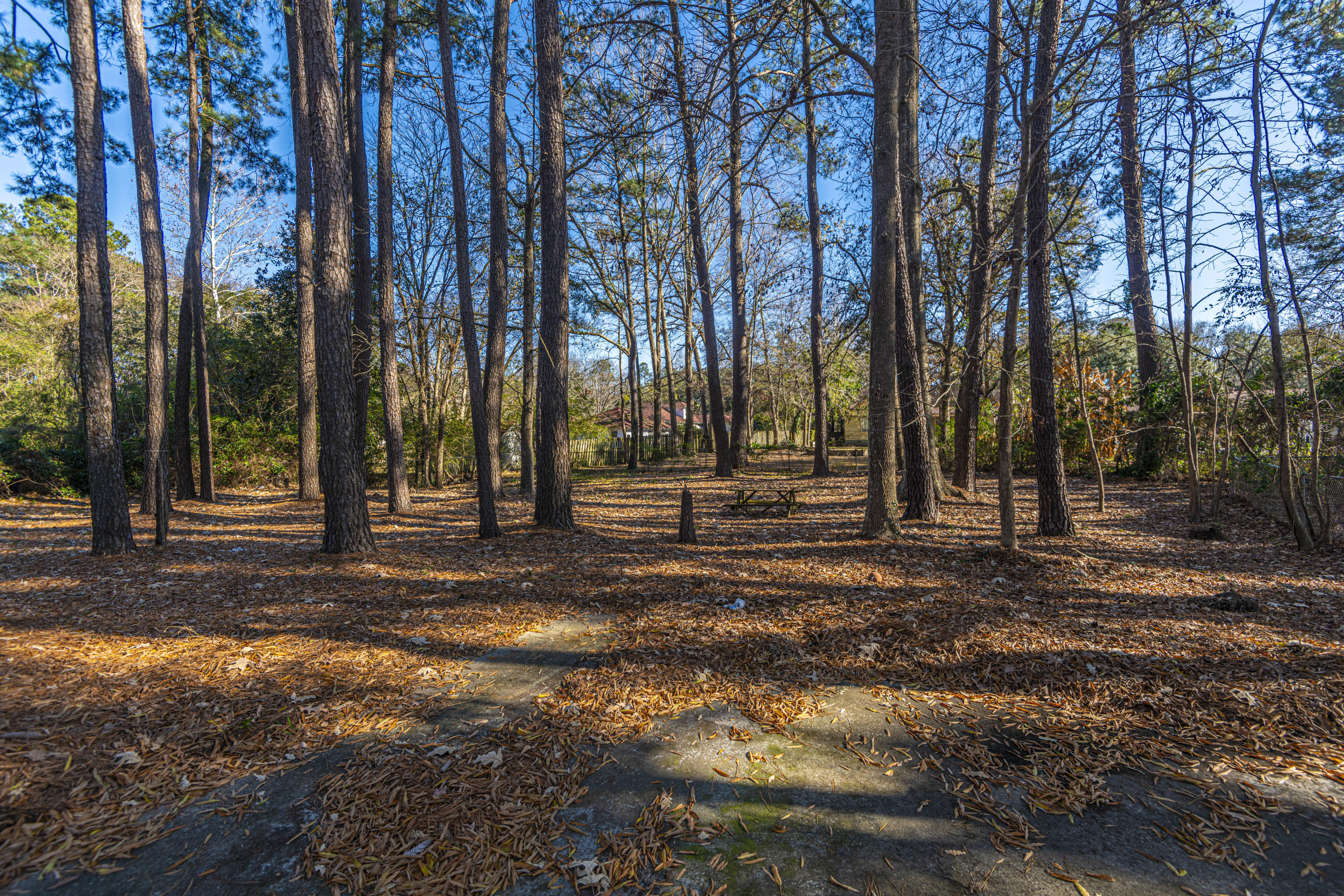 1771 Elm Road Charleston, SC 29414 - Photo 7 of 48 DSC_0714