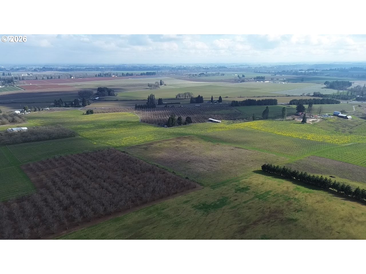19350 Northeast Trunk Road Dundee, OR 97115 - Photo 2 of 14 a black and white photo of a field