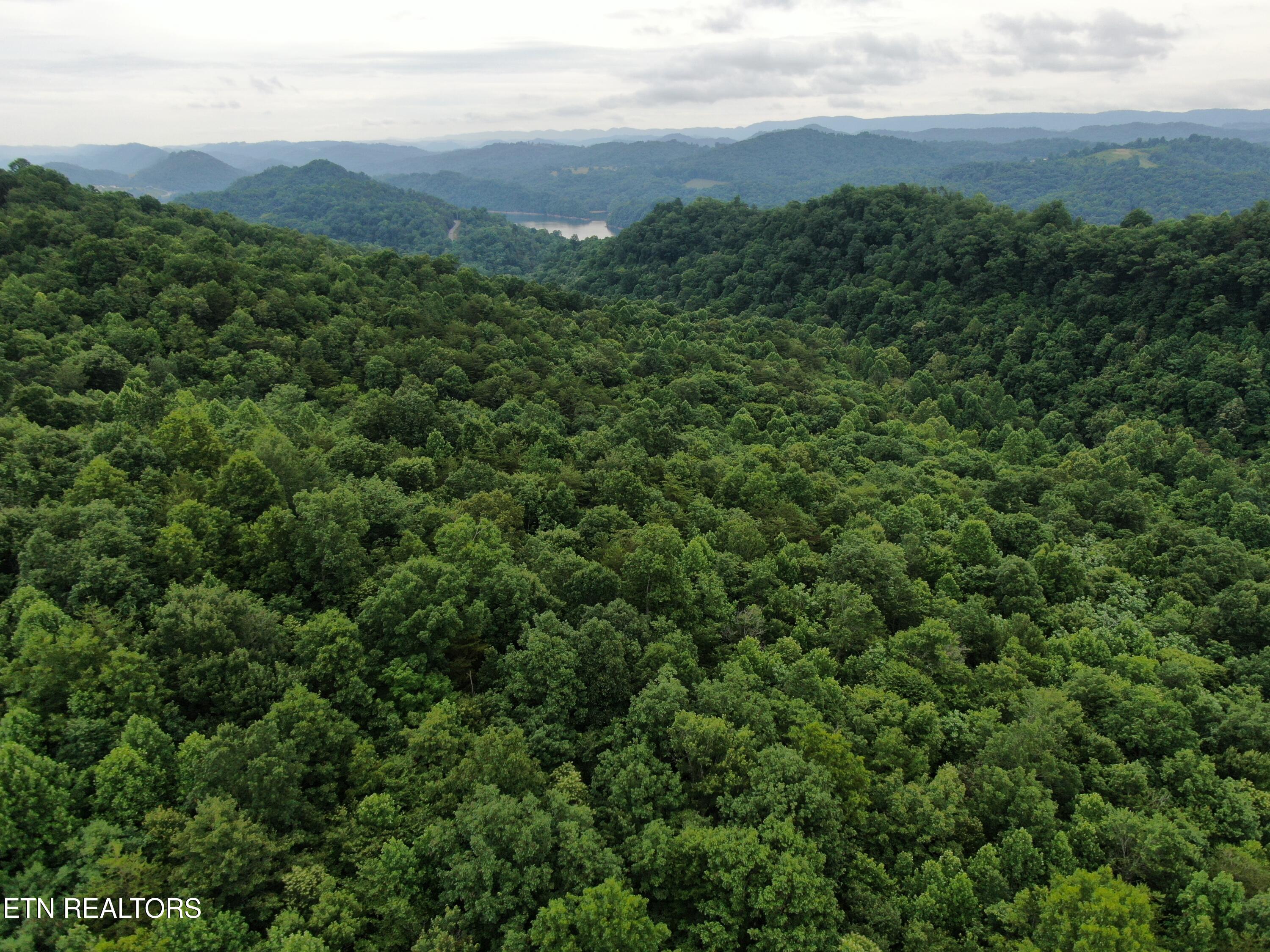 171 Bluff View Road New Tazewell, TN 37825 - Photo 14 of 27 DJI_0396