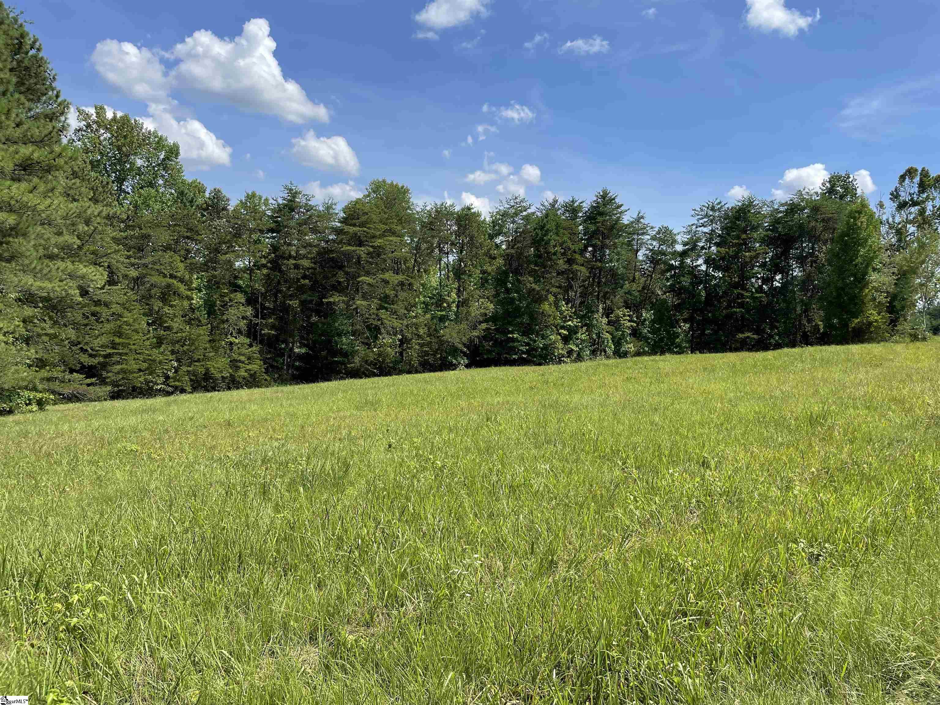 297 Woodall Mountain Road Pickens, SC 29671 - Photo 28 of 50 Gallery Image 28