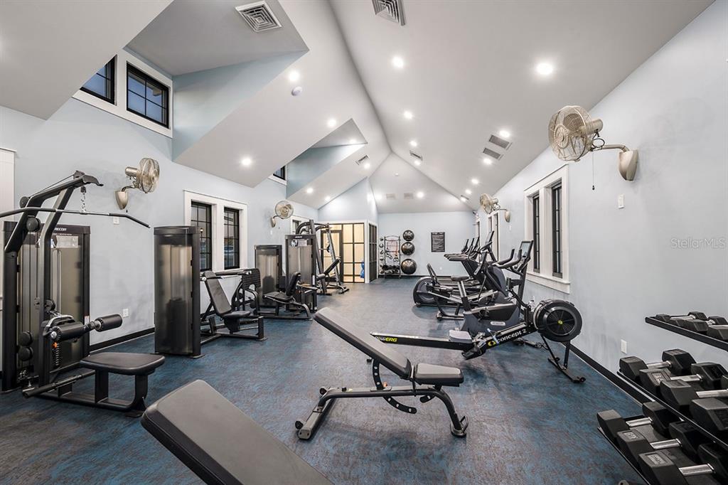 5113 Chapel Row Avenue Apollo Beach, FL 33572 - Photo 19 of 19 a view of a room with gym equipment