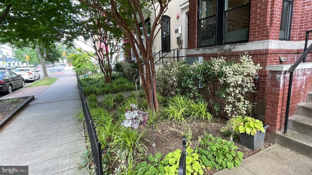 912 S Street Northwest, Unit 1 Washington, DC 20001 - Photo 23 of 29 a view of a garden with pathway