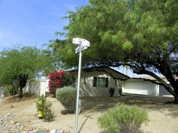 a flower plants in front of a window