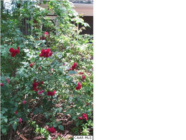 495 Stagecoach Road Charlottesville, VA 22902 - Photo 26 of 27 Gallery Image 26
