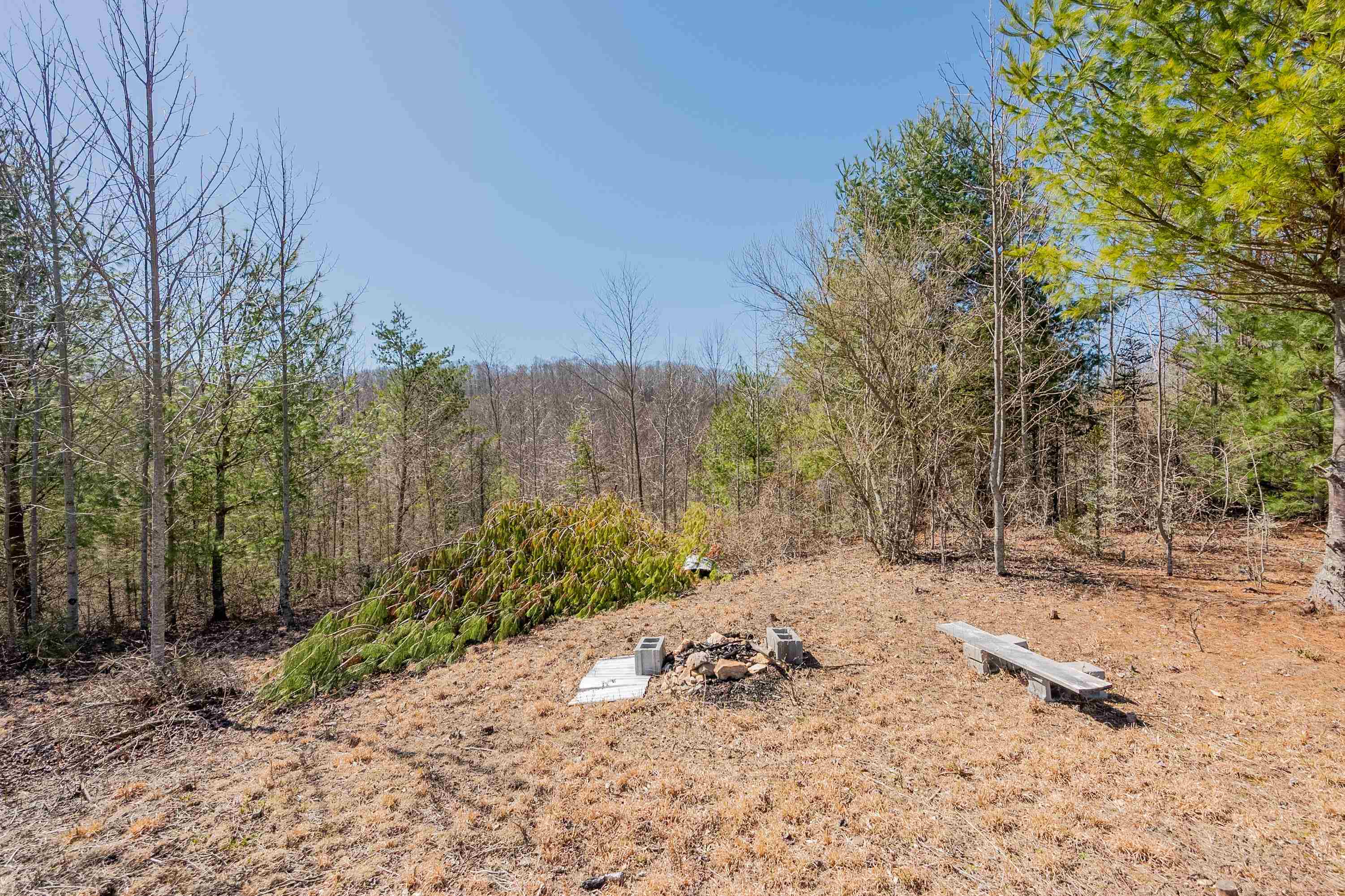 Tbd Southwest Tbd Sw Jeb Stuart Road Southwest Damascus, VA 24236 - Photo 59 of 113 Gallery Image 59