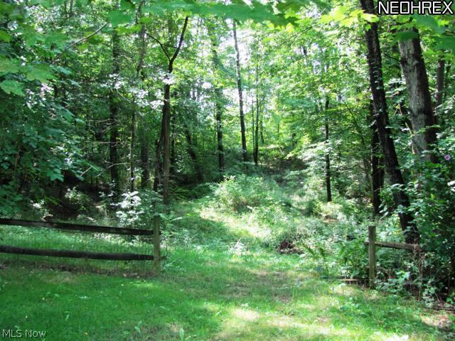 3088 Greenleaf Road Akron, OH 44312 - Photo 25 of 25