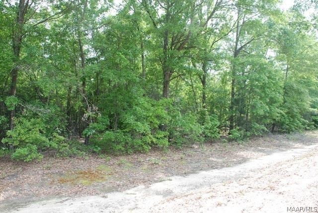 Lot 15 D Hodge Road Dothan, AL 36301 - Photo 1 of 1 Gallery Image 1