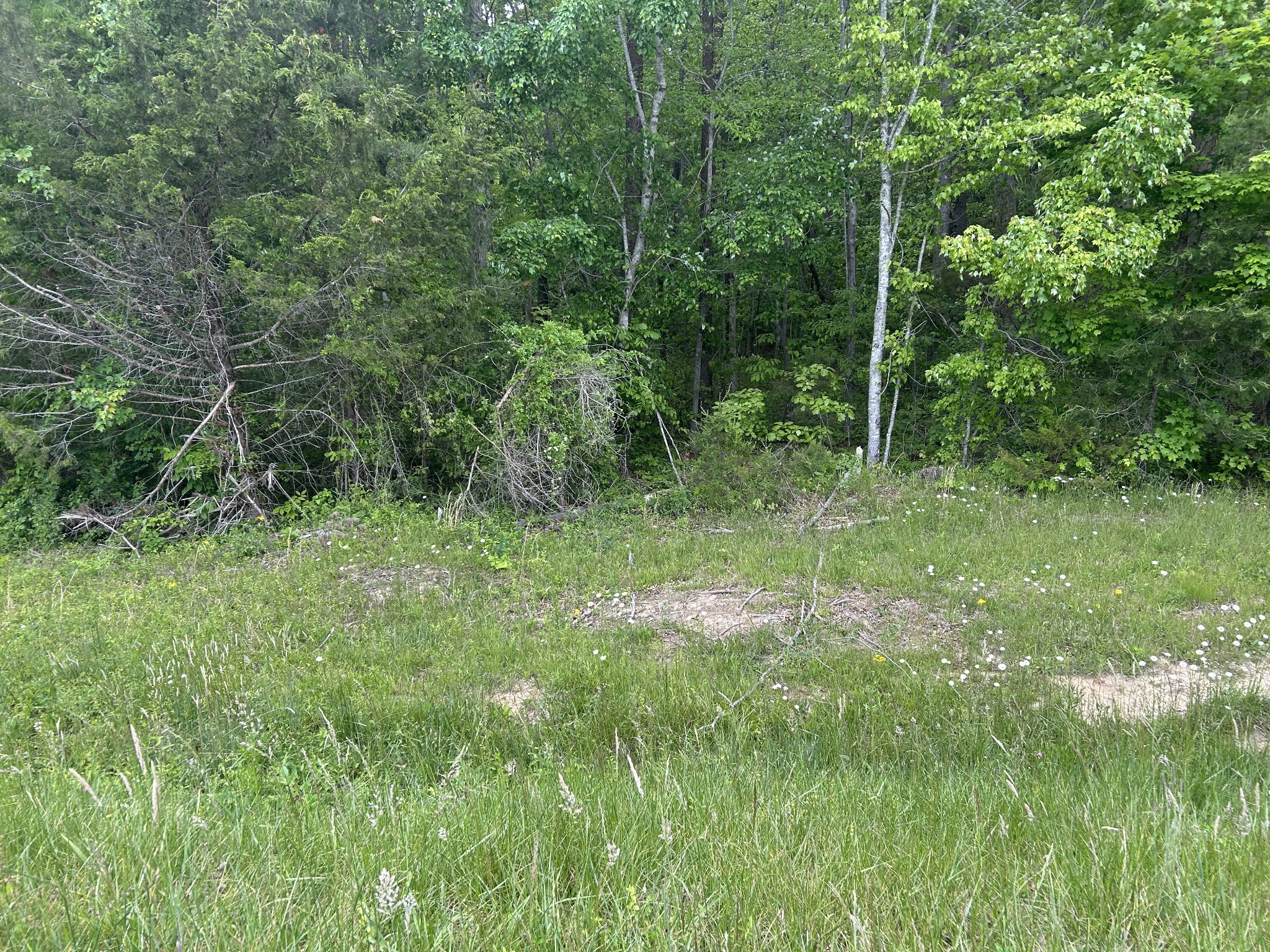 0 Rte Davis Road Spencer, TN 38585 - Photo 1 of 9 a view of outdoor space and green field