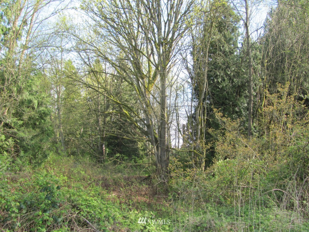 39-xx Hoier Road Blaine, WA 98230 - Photo 2 of 2 Gallery Image 2
