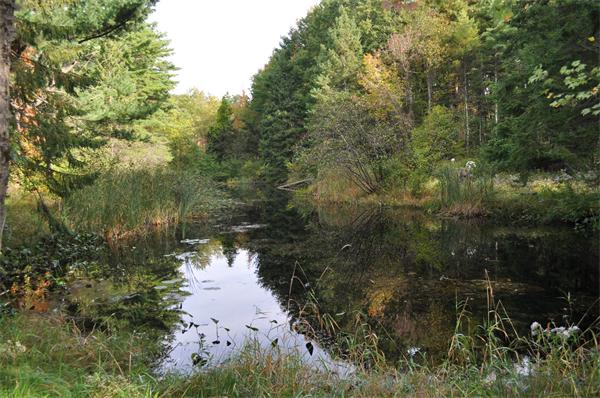 351 Ware Corner Road Oakham, MA 01068 - Photo 2 of 30 a view of a lake with lots of trees