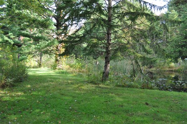 351 Ware Corner Road Oakham, MA 01068 - Photo 4 of 30 a view of outdoor space and yard