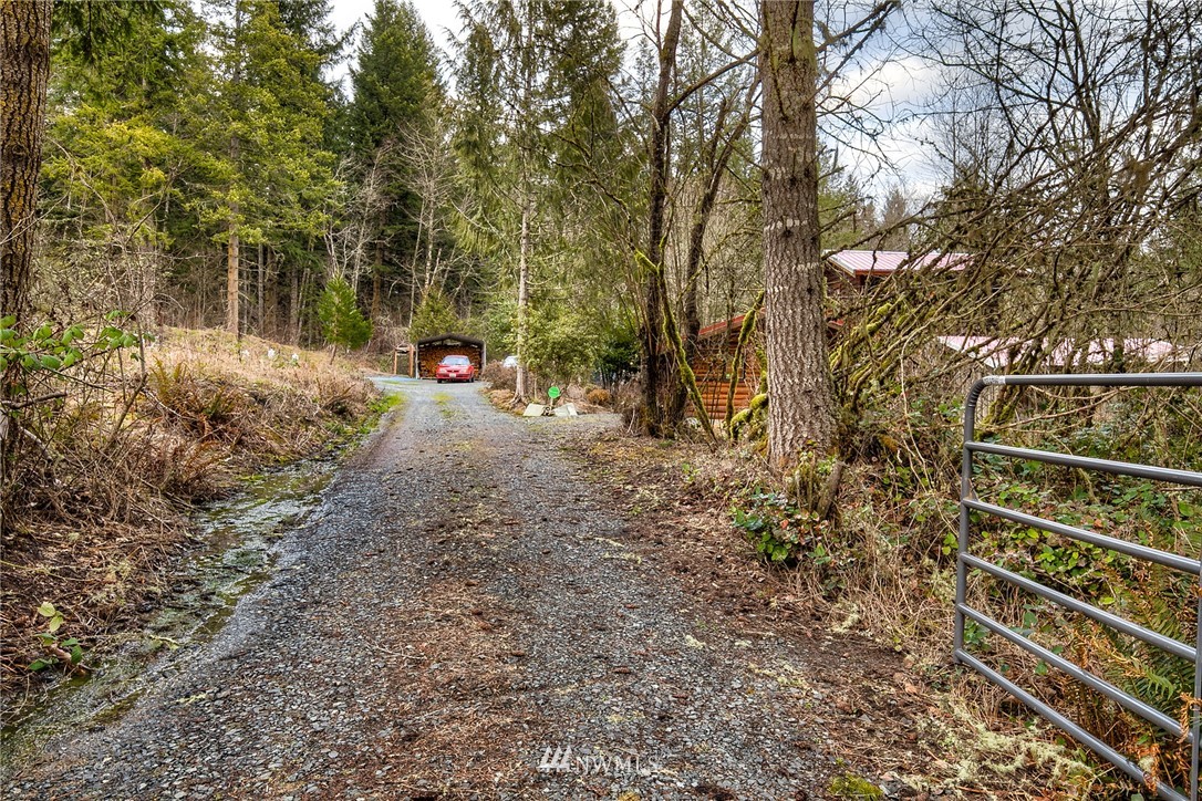 47617 Spring Water Road East Eatonville, WA 98328 - Photo 3 of 25