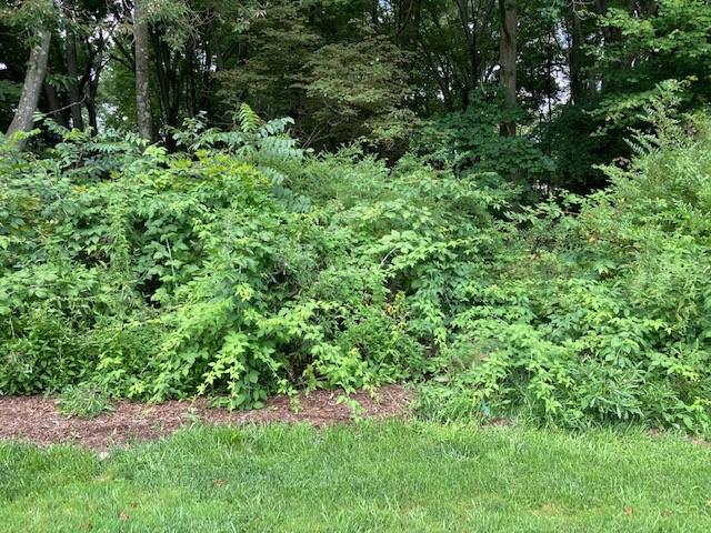 0 Forresta Drive Butler, PA 16002 - Photo 1 of 6 Gallery Image 1
