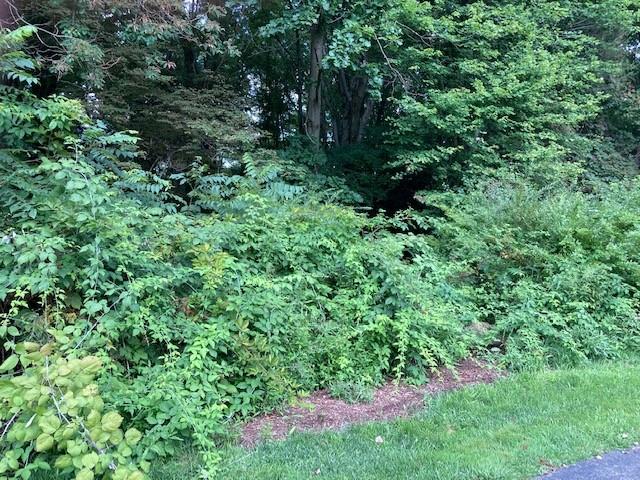 0 Forresta Drive Butler, PA 16002 - Photo 2 of 6 Gallery Image 2