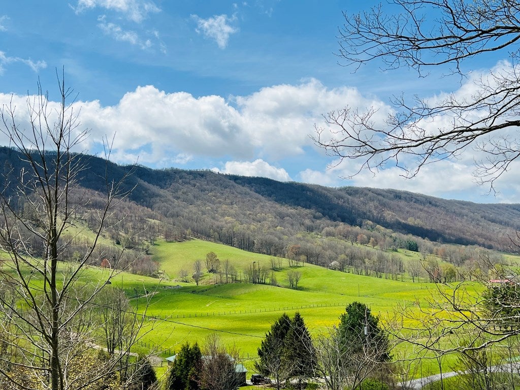509 Tacoma Road Tazewell, VA 24651 - Photo 20 of 44 Gallery Image 20