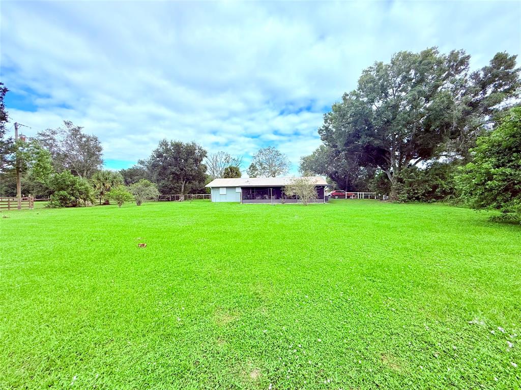 393 Southwest 72nd Terrace Okeechobee, FL 34974 - Photo 5 of 21 a view of a house with a big yard potted plants and large tree