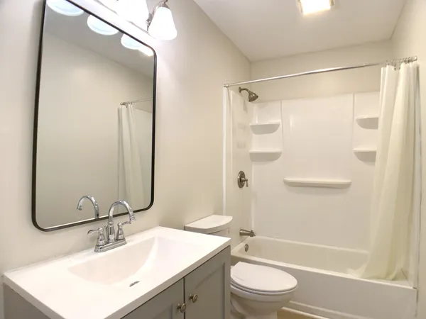 a bathroom with a sink mirror toilet and bathtub