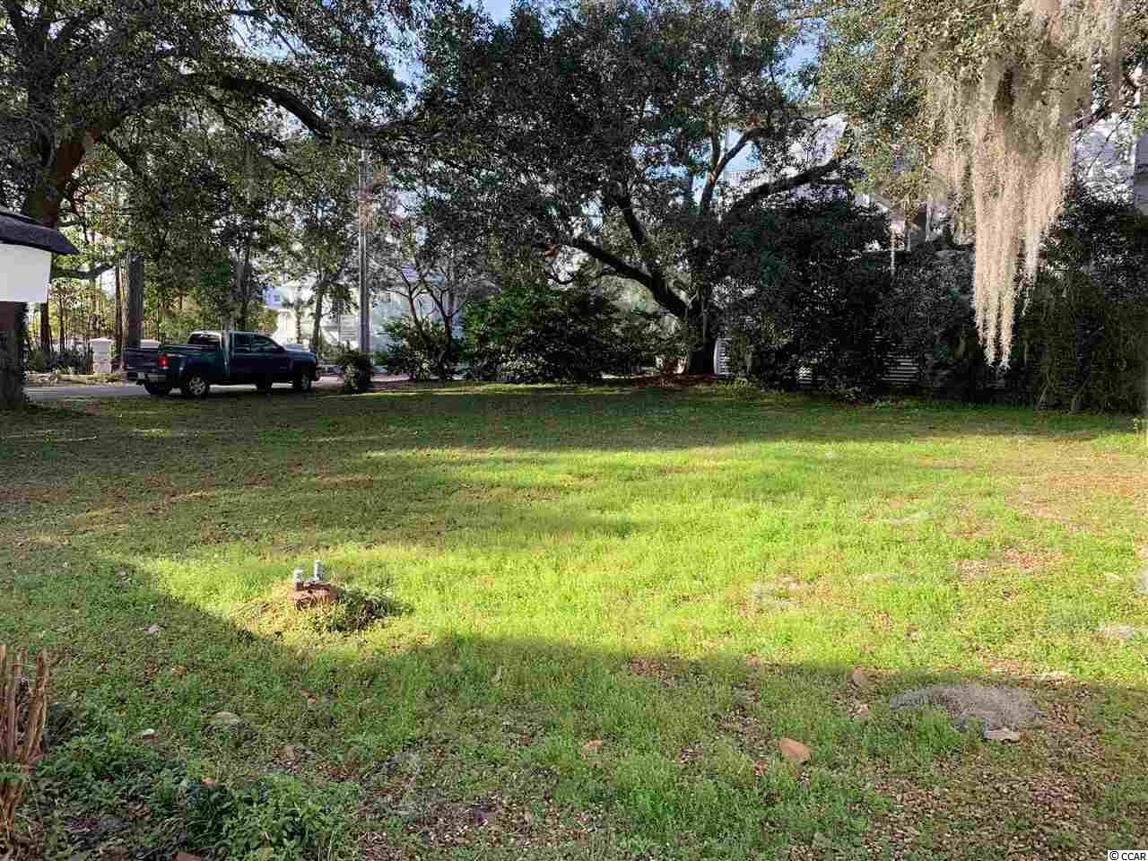 570 Little Tony Avenue Murrells Inlet, SC 29576 - Photo 23 of 23