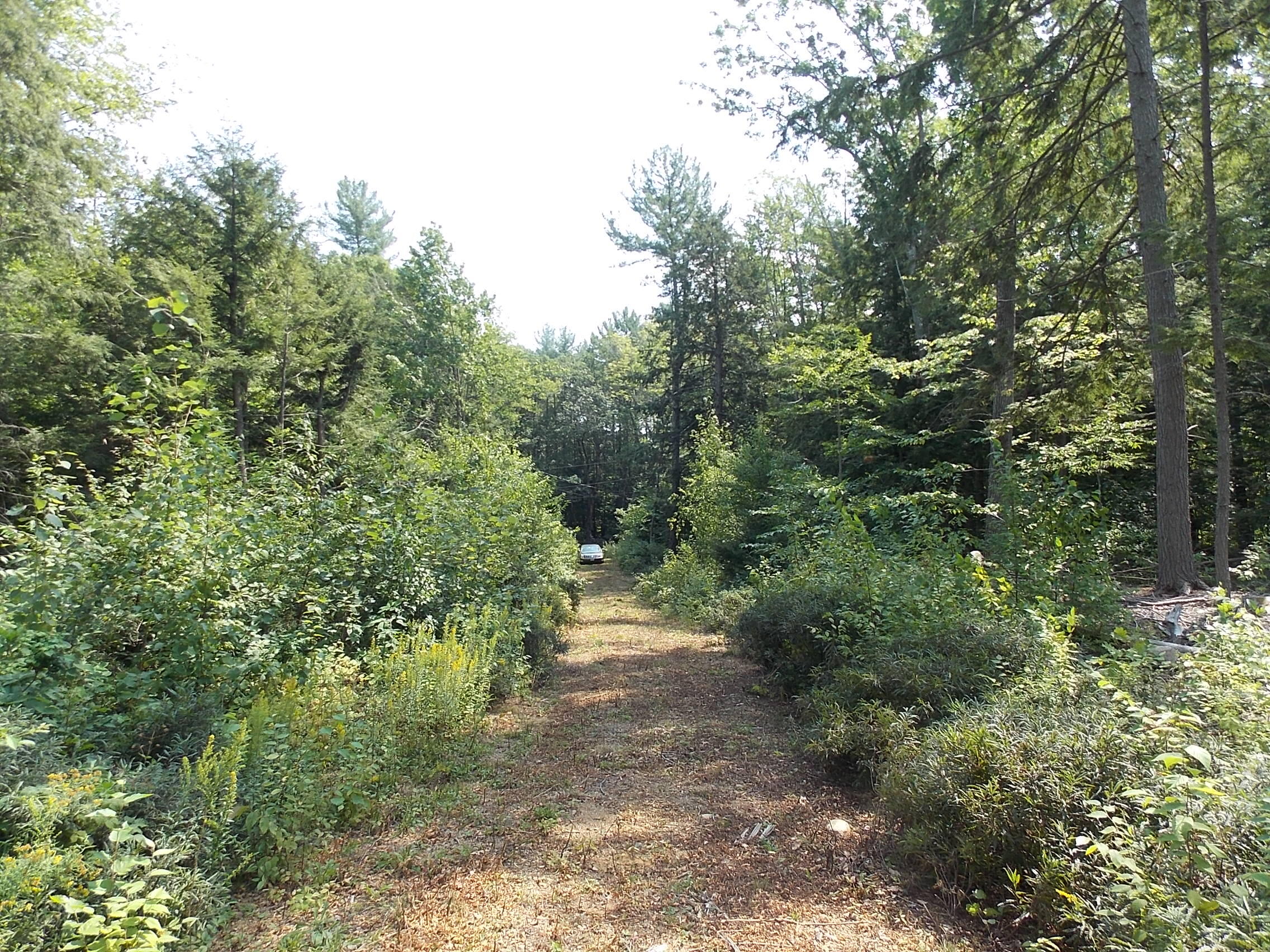 0 Walnut Brook Road Sanford, ME 04073 - Photo 3 of 19 DSCN9516