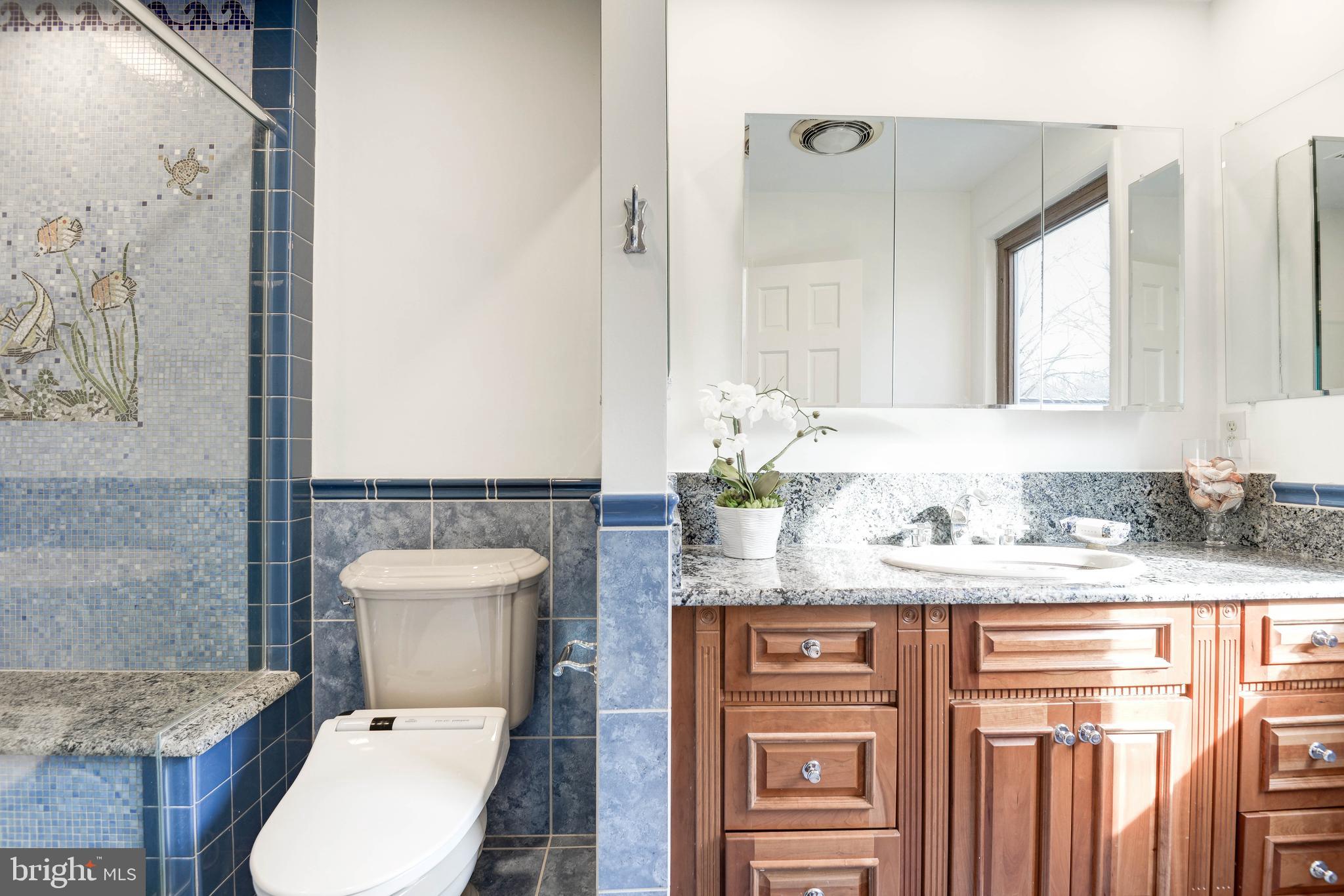 11805 Blue Spruce Road Reston, VA 20191 - Photo 44 of 74 a bathroom with a granite countertop toilet sink and mirror